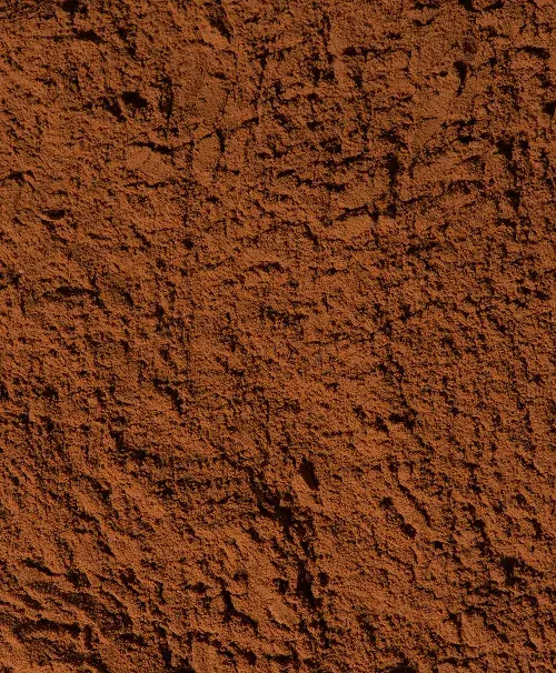Premium cocoa powder