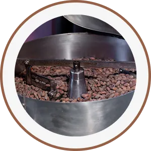 Cocoa roasting illustration